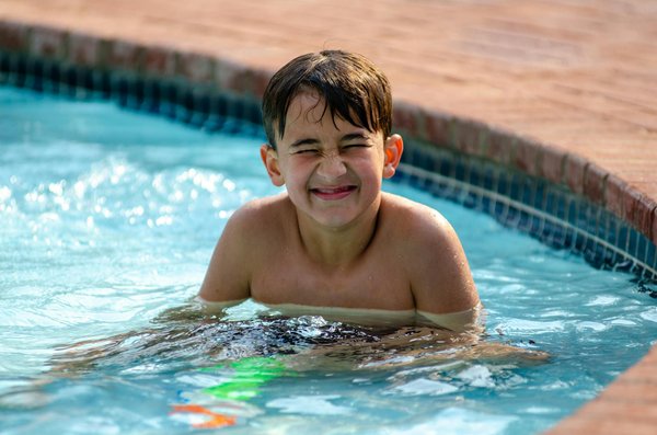 Cultivez Vos Propres Rosiers à Partir de Graines : Guide DIY Incontournable